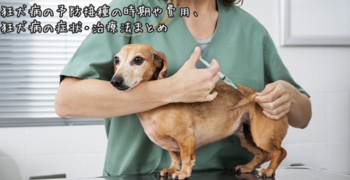 狂犬病症狀 狂犬病症狀