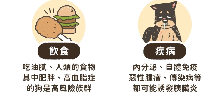 狗狗胰臟炎飲食管理 狗狗胰臟炎飲食管理