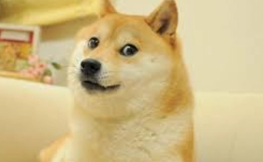狗狗痘痘處理 狗狗痘痘處理