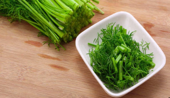 茴香種植常見問題 茴香種植常見問題