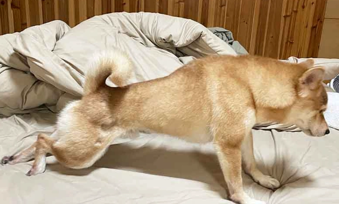 抗過敏藥推薦 抗過敏藥推薦