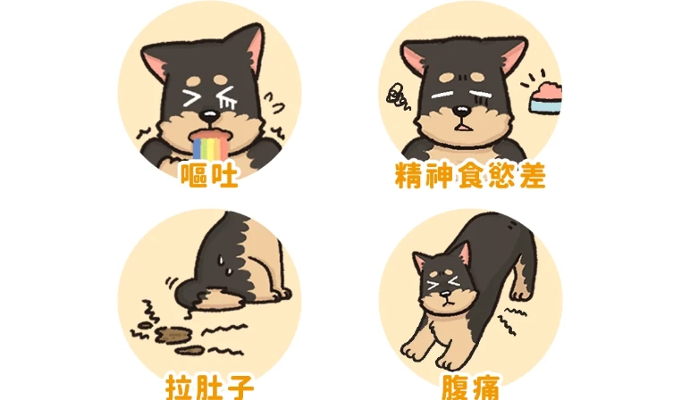 胰臟炎灌食方法 胰臟炎灌食方法