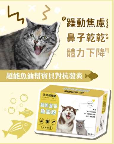 狗維他命安全 狗維他命安全