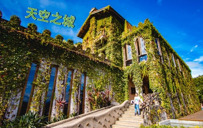 大湖草莓園 大湖草莓園