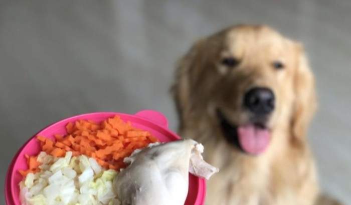 狗鸡胸肉喂食量 狗鸡胸肉喂食量