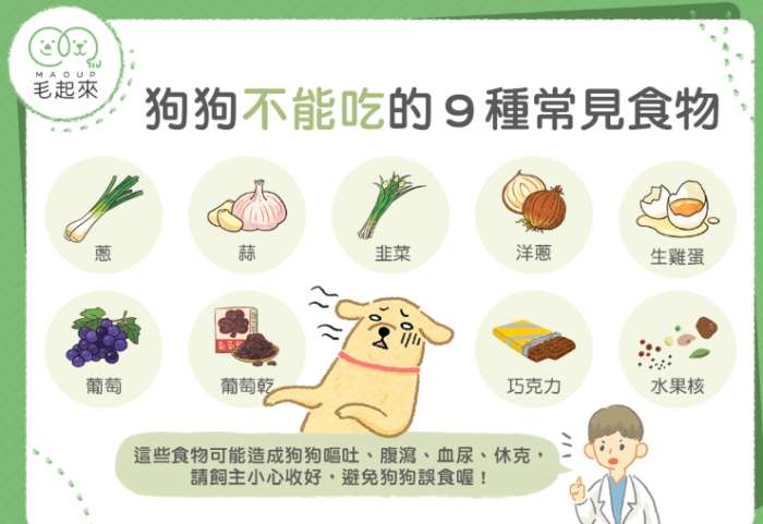 狗食推薦 狗食推薦