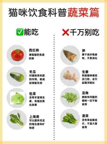 貓咪飲食禁忌 貓咪飲食禁忌