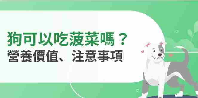 菠菜對狗的風險 菠菜對狗的風險