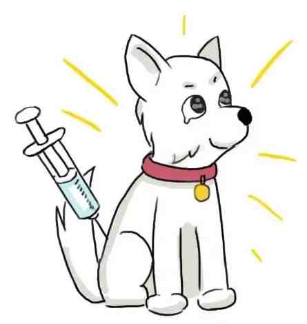 狂犬病疫苗接種 狂犬病疫苗接種