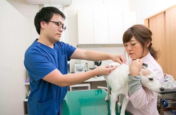 狂犬病症狀 狂犬病症狀