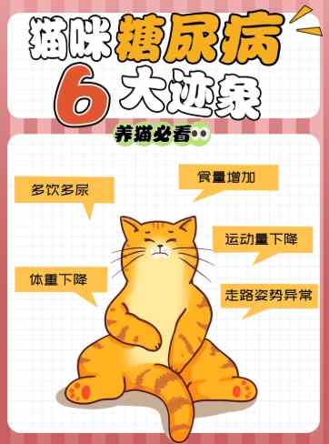 貓糖尿病風險 貓糖尿病風險