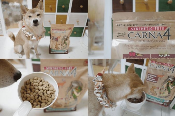 犬隻腸胃保健飼料 犬隻腸胃保健飼料