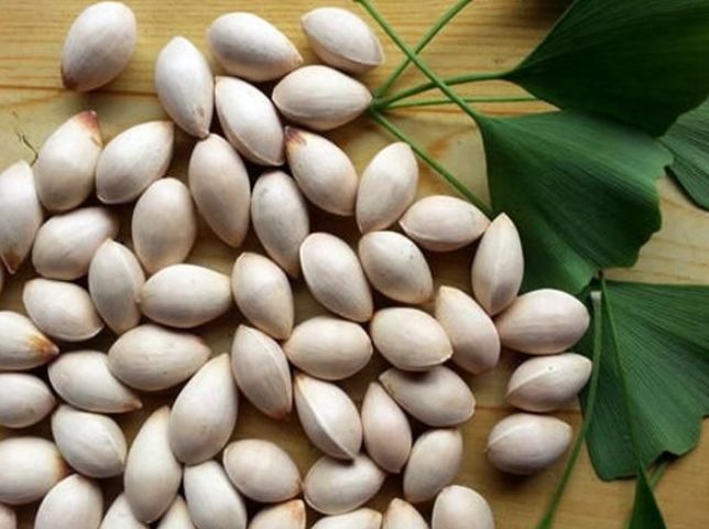 白果食用禁忌