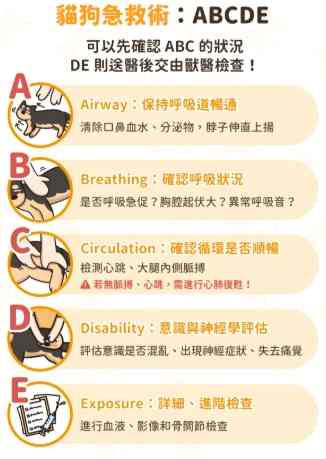 貓癲癇治療 貓癲癇治療