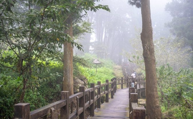 奮起湖旅遊 奮起湖旅遊