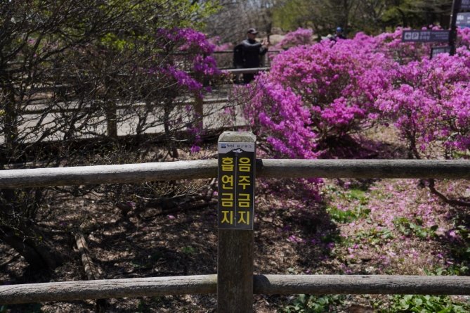 濟州島漢拏山申請 濟州島漢拏山申請