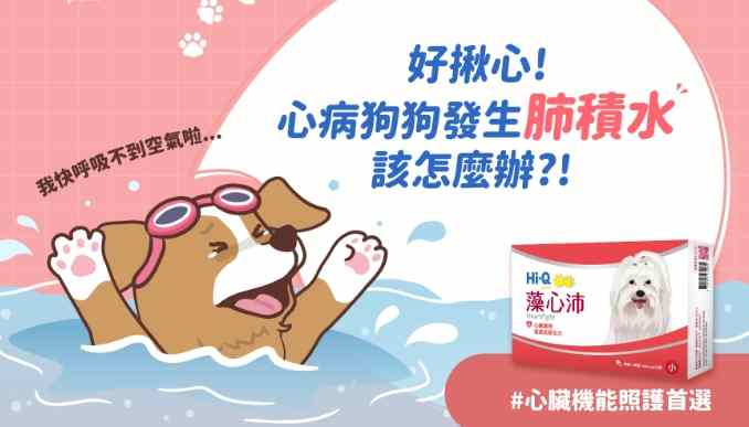 狗狗肺積水 狗狗肺積水