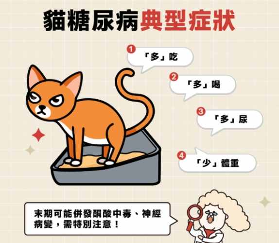 貓糖尿病風險因素 貓糖尿病風險因素