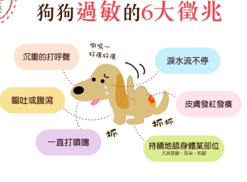 犬類過敏症狀 犬類過敏症狀