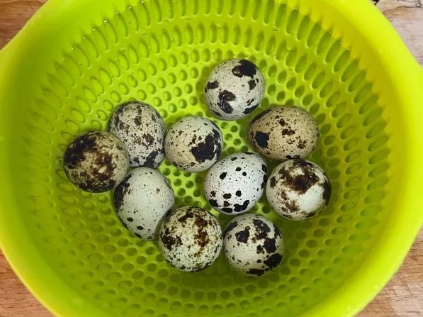 鳥蛋保存技巧 鳥蛋保存技巧