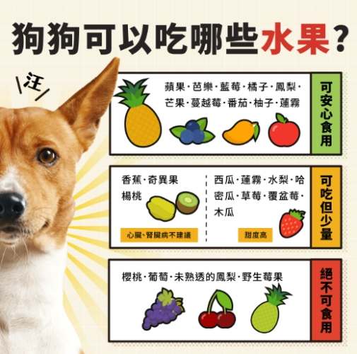 狗腹瀉吃什麼 狗腹瀉吃什麼