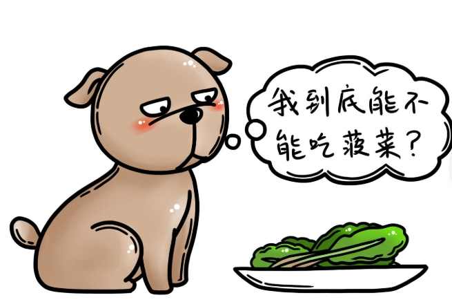 狗吃菠菜好處 狗吃菠菜好處