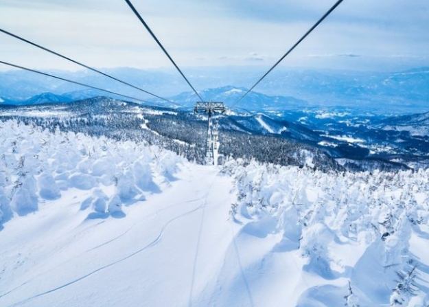 雪盆玩法教學 雪盆玩法教學