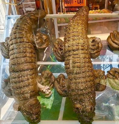 鱷魚農場交通方式 鱷魚農場交通方式