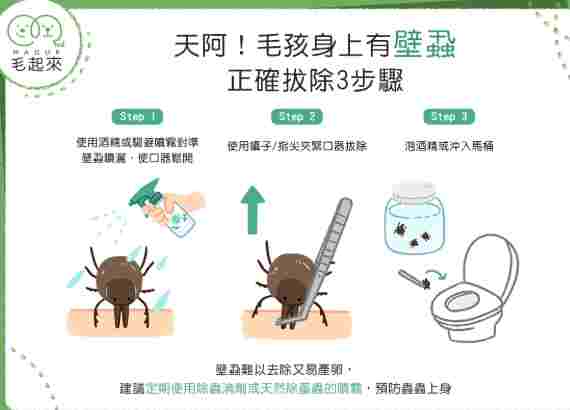 狗狗除蟲方法 狗狗除蟲方法