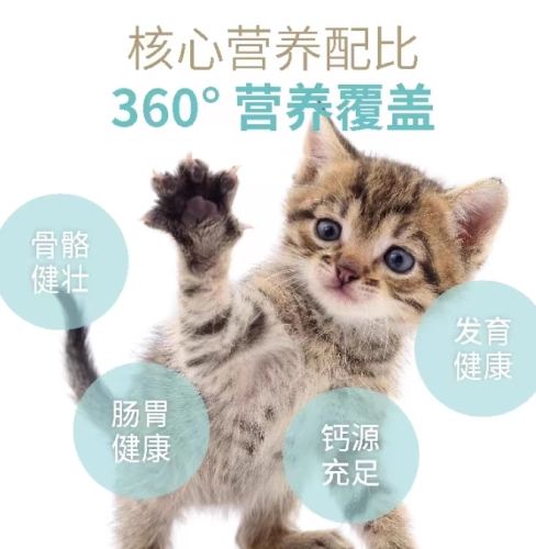猫补钙食材 猫补钙食材