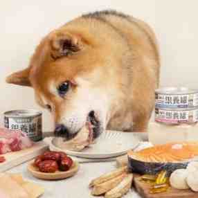 高齡犬罐頭推薦 高齡犬罐頭推薦