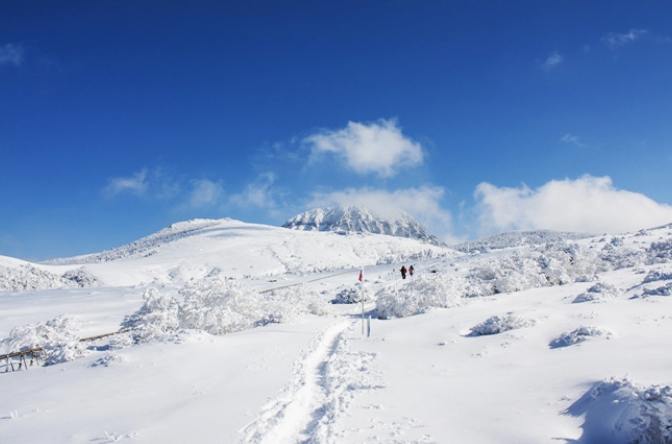漢拿山登山路線 漢拿山登山路線