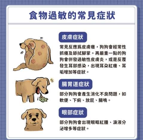 狗狗食物過敏 狗狗食物過敏