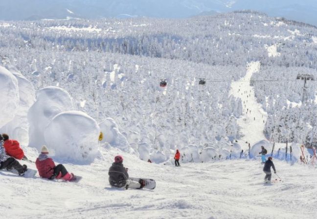 藏王雪盆租借 藏王雪盆租借