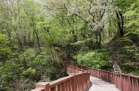 济州岛汉拏山路线 济州岛汉拏山路线