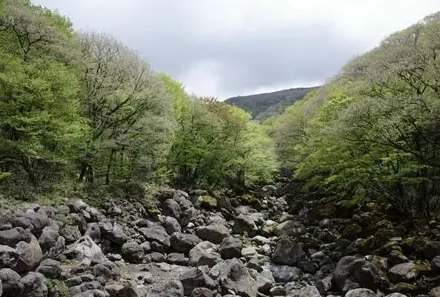 汉拏山登山 汉拏山登山