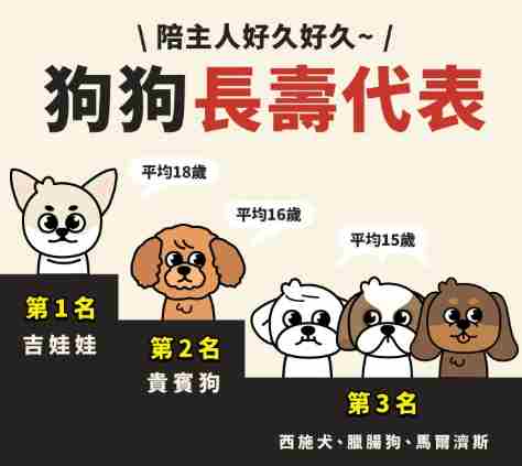 寵物平均壽命 寵物平均壽命