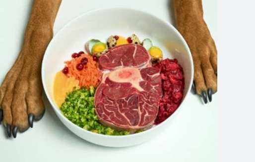 生食喂养凶猛 生食喂养凶猛