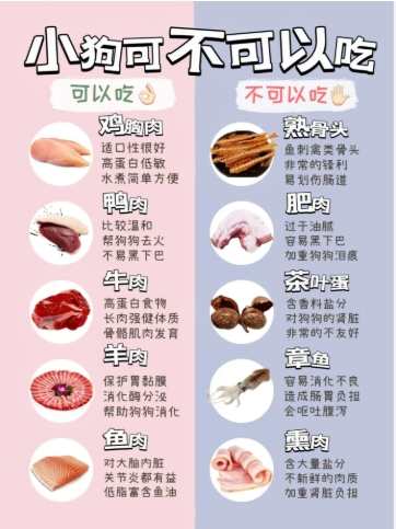 狗皮膚營養補充 狗皮膚營養補充