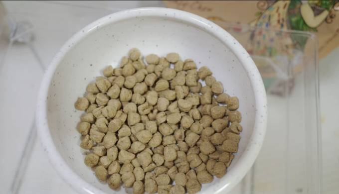 狗狗腸胃敏感飼料 狗狗腸胃敏感飼料