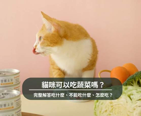 貓咪有毒蔬菜 貓咪有毒蔬菜