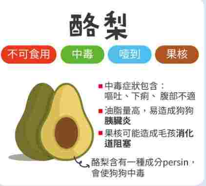 狗狗吃酪梨油 狗狗吃酪梨油