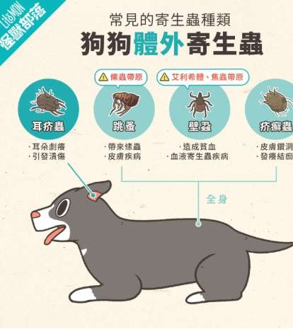 狗狗寄生虫症狀 狗狗寄生虫症狀