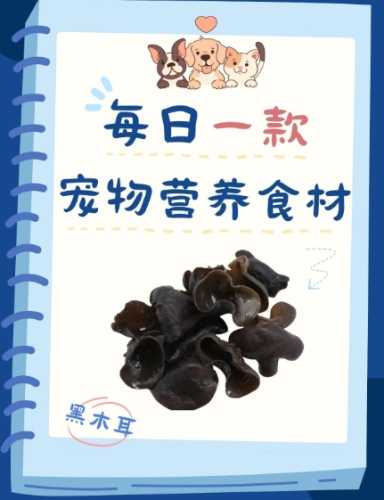 狗吃木耳安全嗎 狗吃木耳安全嗎
