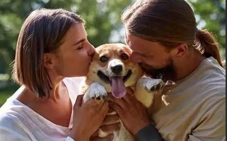 狗狗親近方法 狗狗親近方法