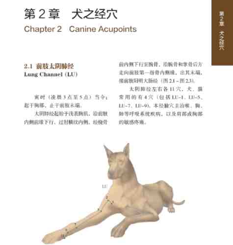 狗前庭炎治療