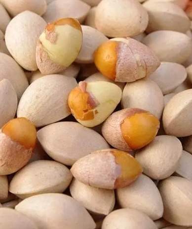 新鮮白果食譜 新鮮白果食譜