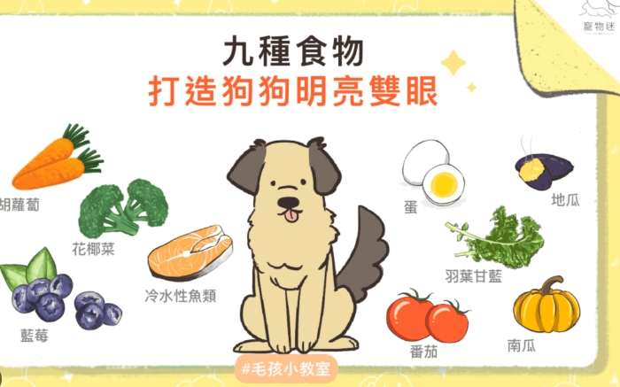 狗食推薦 狗食推薦