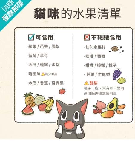 貓咪吃芒果注意事項 貓咪吃芒果注意事項