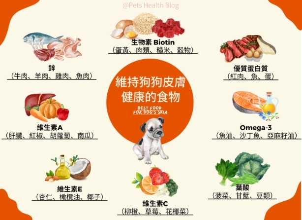 狗食推薦 狗食推薦